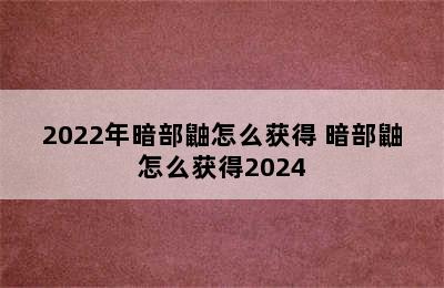 2022年暗部鼬怎么获得 暗部鼬怎么获得2024